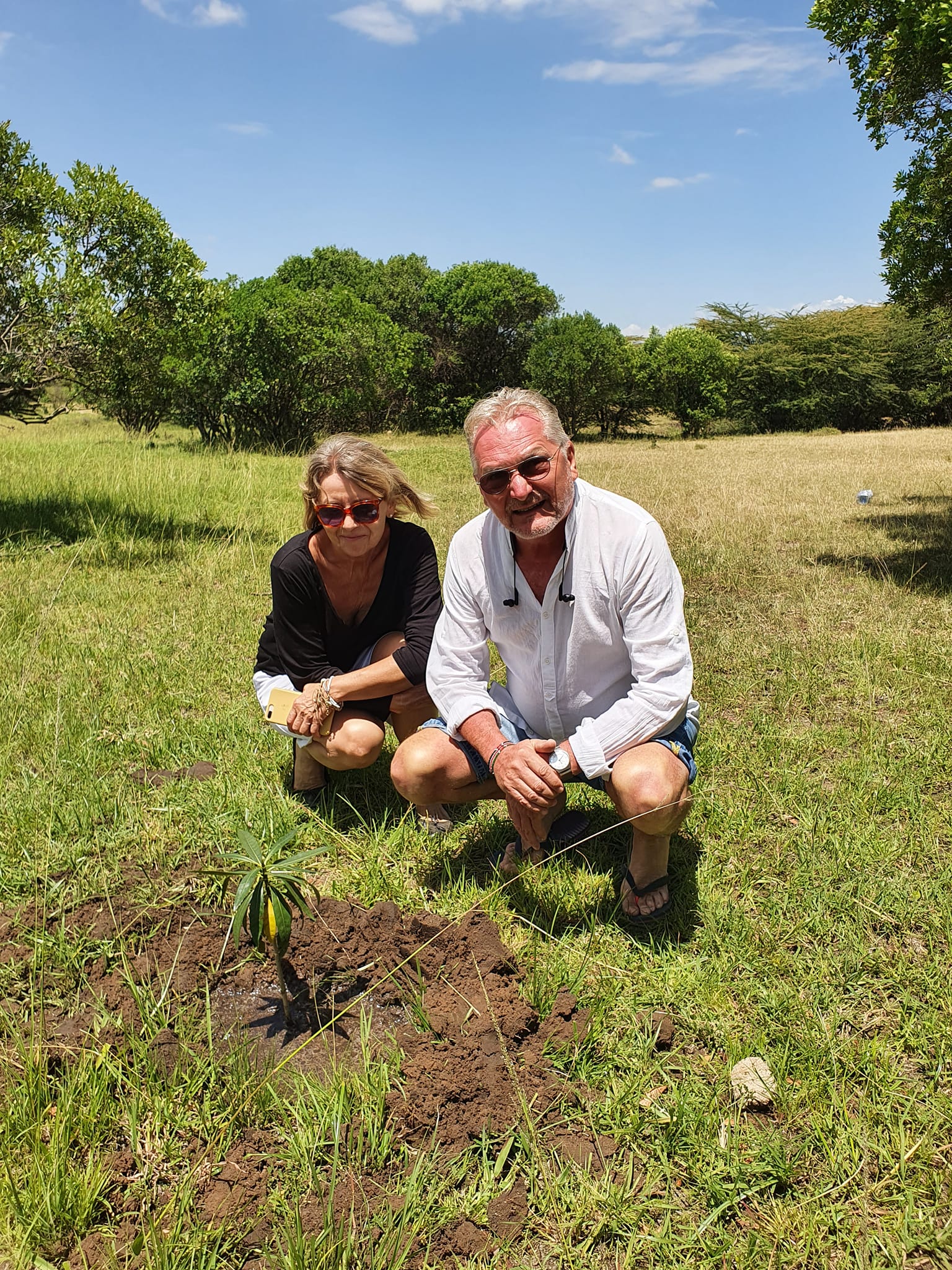 Tree Planting