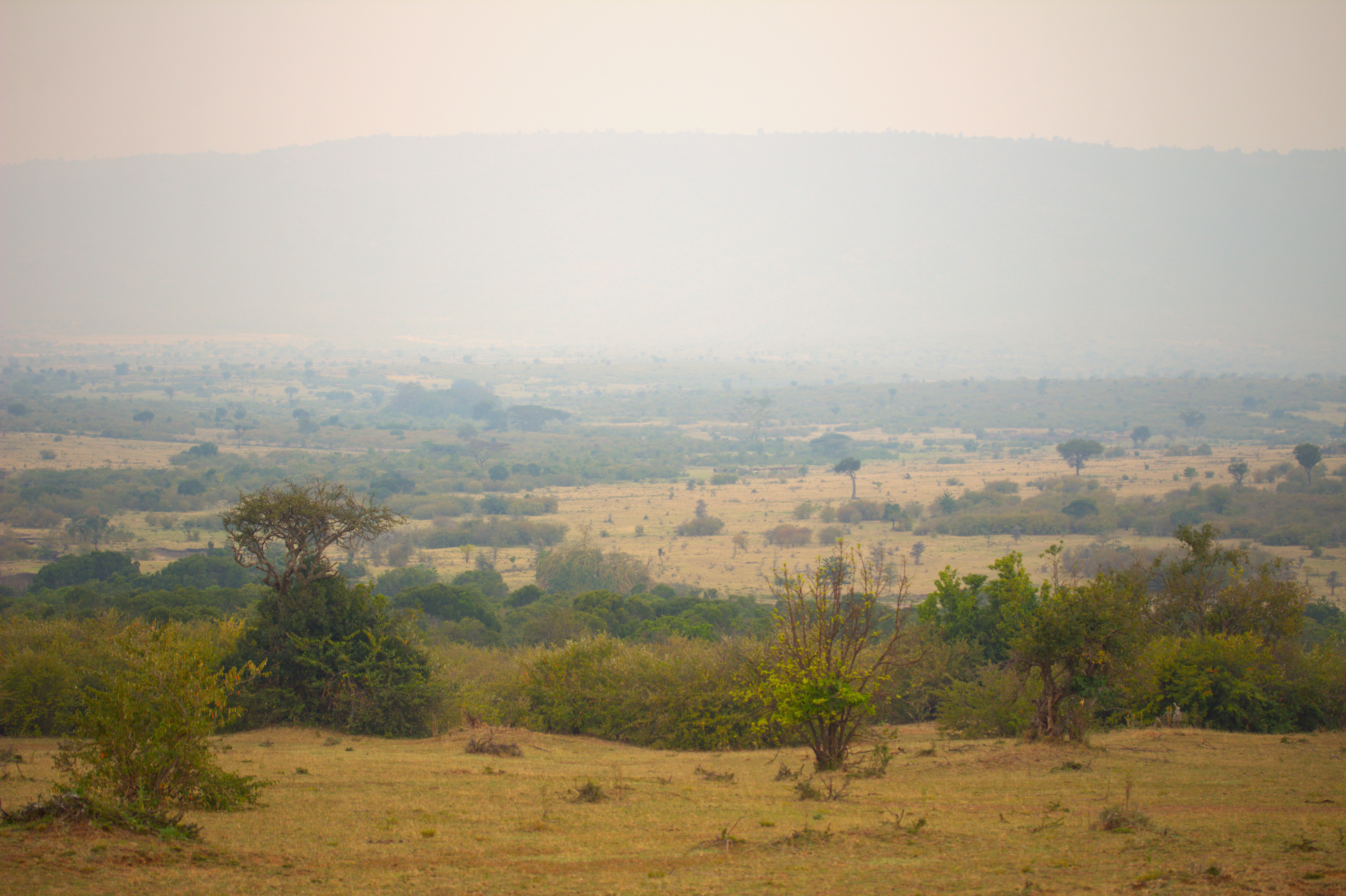 Maasai Mara Sunset