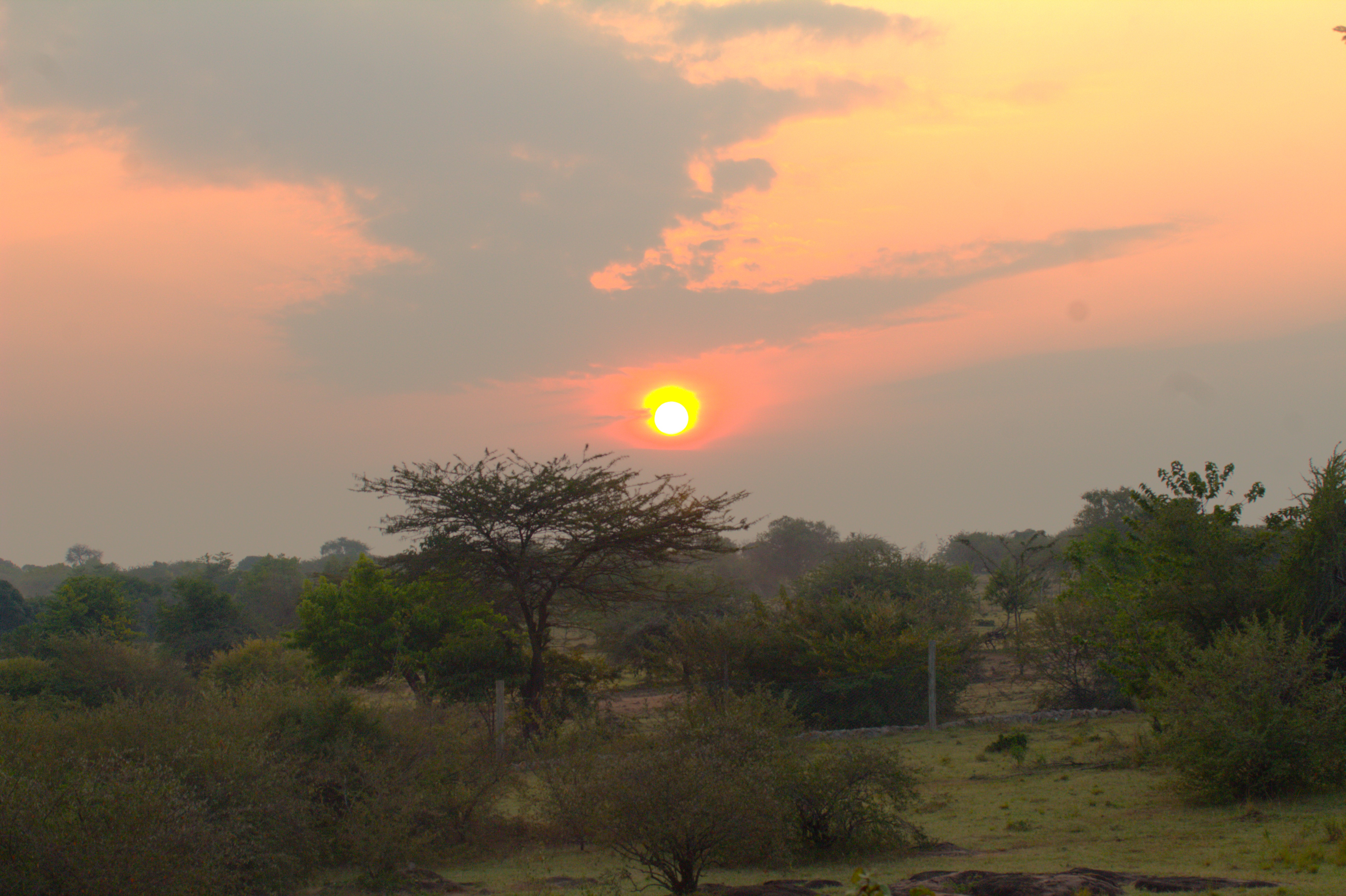 Sunrise