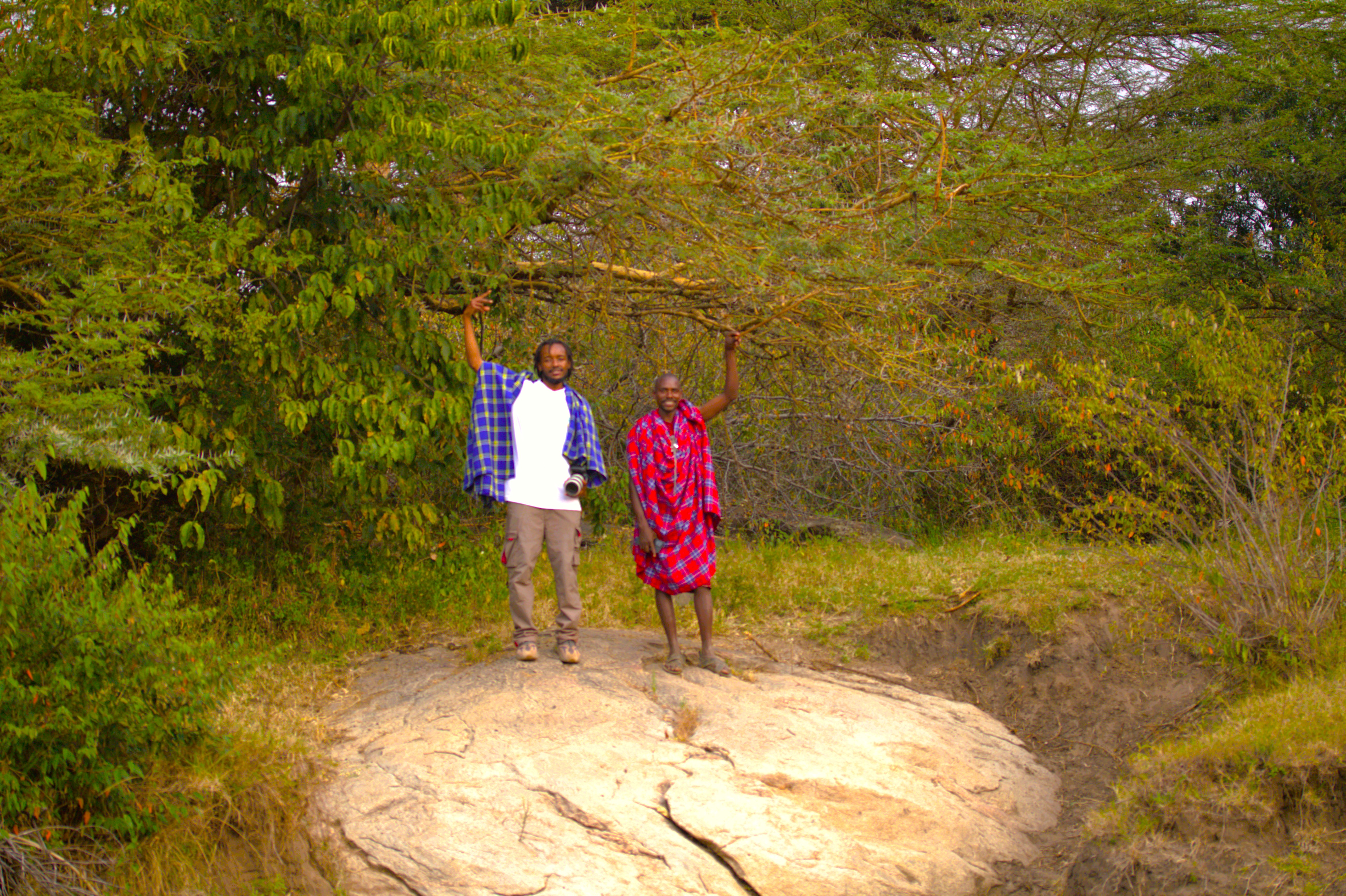 Walking Safaris
